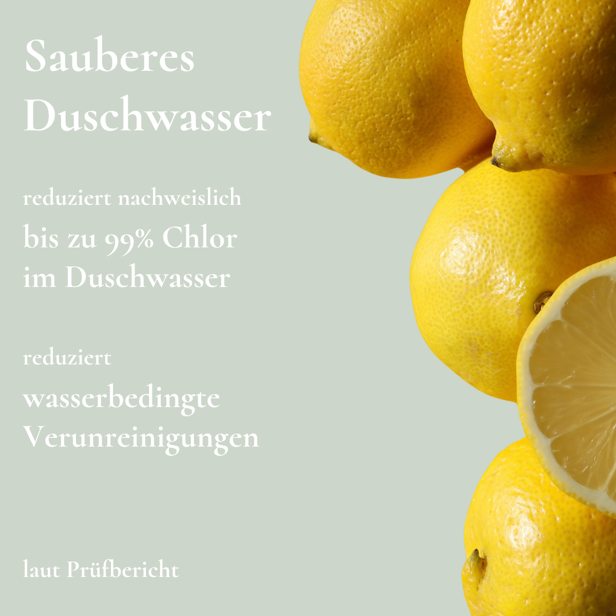 ShowerGlow Reise-Duschfilter reduziert bis zu 99 % Chlor und Verunreinigungen